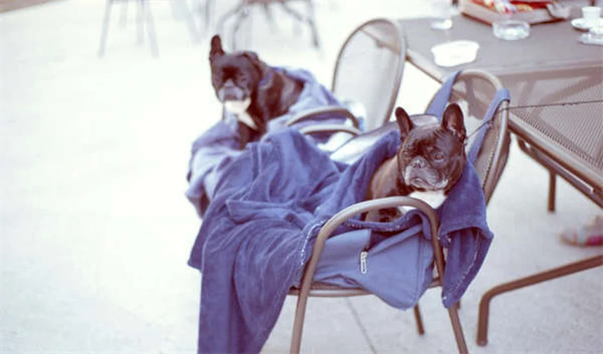 2026 Ram Ramcharger: The Ultimate EREV Truck with 690-Mile Range